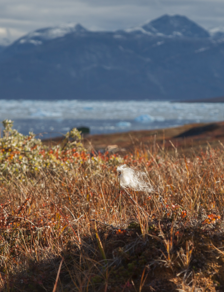 Greenland September 2024 Jesper Rosenberg Grønland